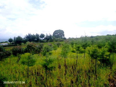 Plot on Sale Olivin Mololine - Image 3