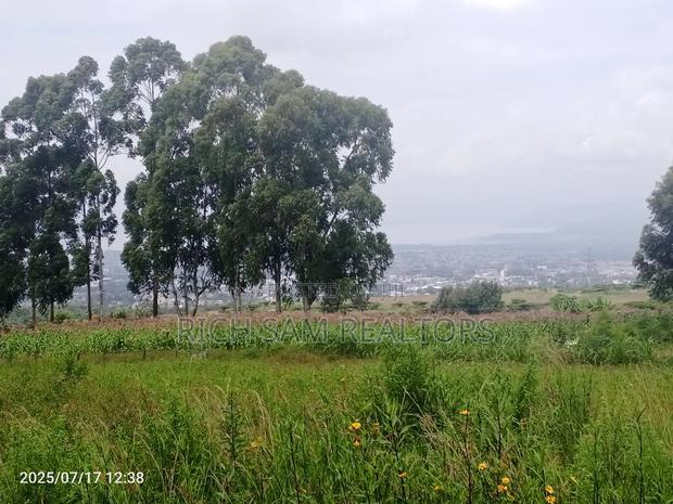 Plot on Sale Olivin Mololine