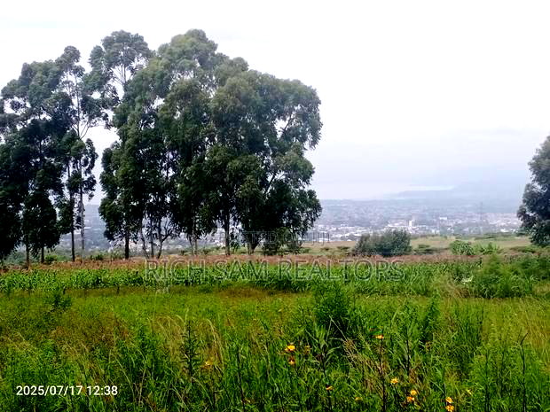 Plot on Sale Olivin Mololine