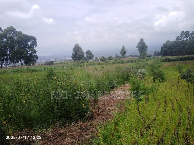 Plot on Sale Olivin Mololine