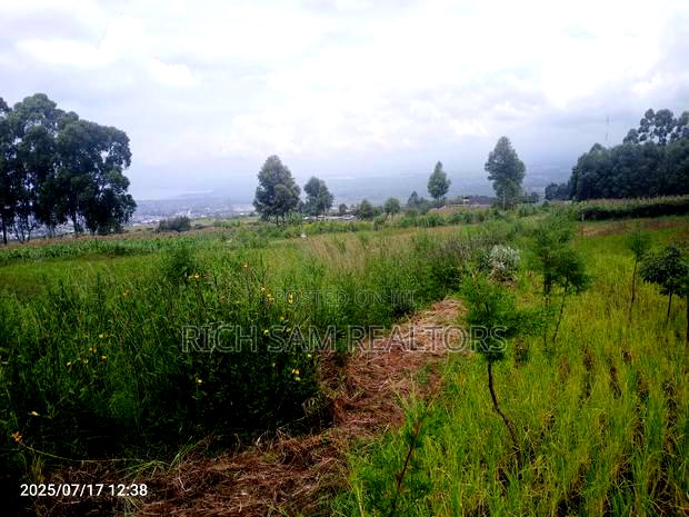 Plot on Sale Olivin Mololine