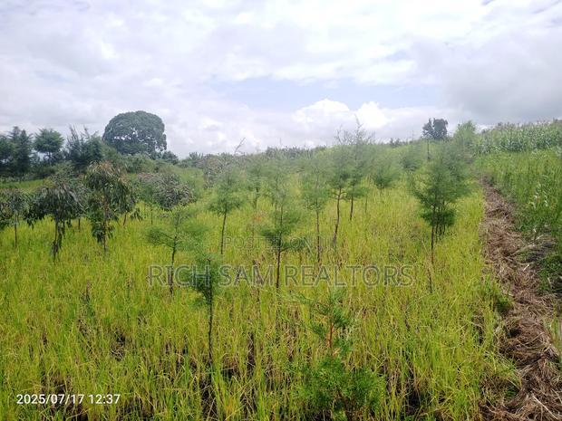 Plot on Sale Olivin Mololine
