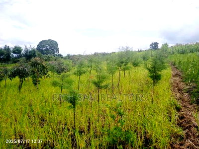 Plot on Sale Olivin Mololine - Image 8