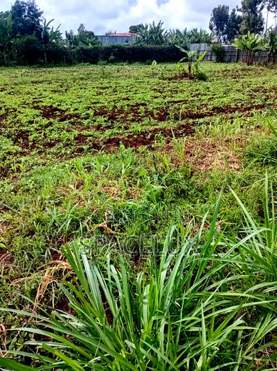 1,Acre Upper Hill - Image 2