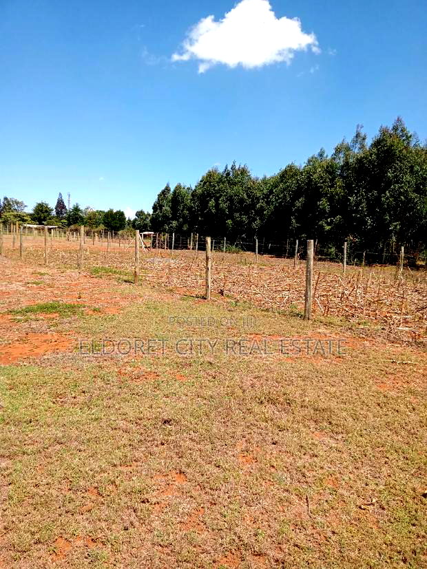 1/8 Plot Nyamumbi With Title