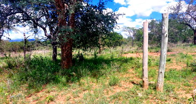 10-Acre Land with Highway Access