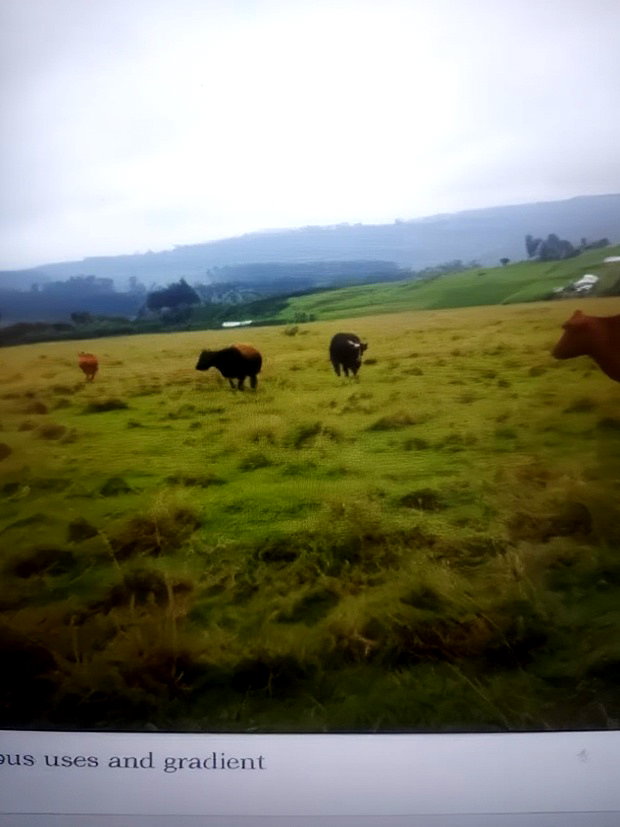 Land for Sale in Karunga Area (Gilgil)