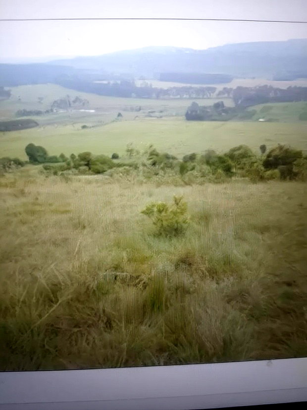 Land for Sale in Karunga Area (Gilgil)