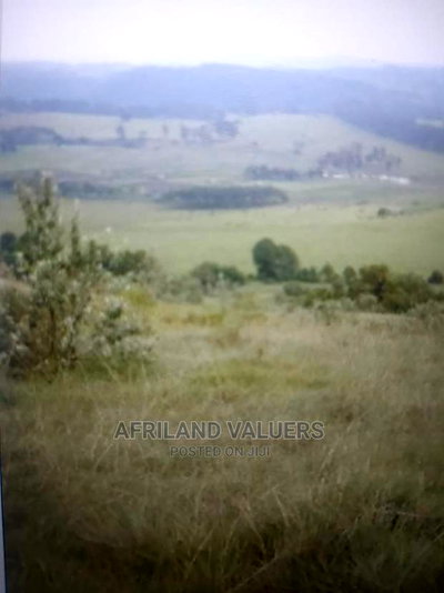 Land for Sale in Karunga Area (Gilgil) - Image 3