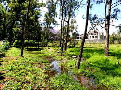 Half Acre Bogani for Sale Karen - Image 1