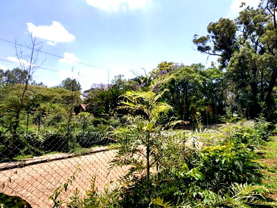 Half Acre Bogani for Sale Karen - Image 2