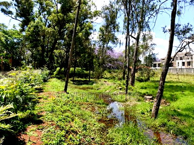 Half Acre Bogani for Sale Karen - Image 3