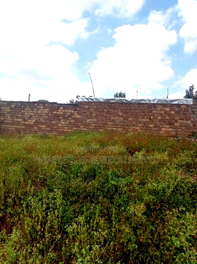 100 by 100 Plot for Sale at Githurai 45 - Image 5