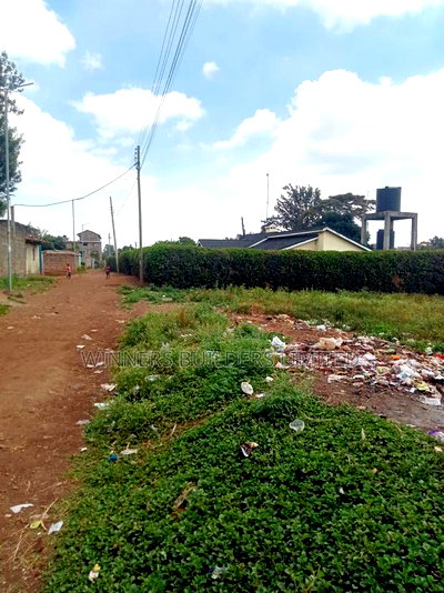 100 by 100 Plot for Sale at Githurai 45 - Image 4