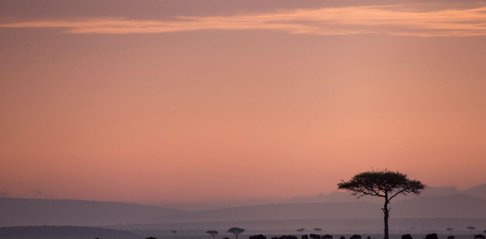KSh 520M Maasai Mara Riverfront Safari Camp