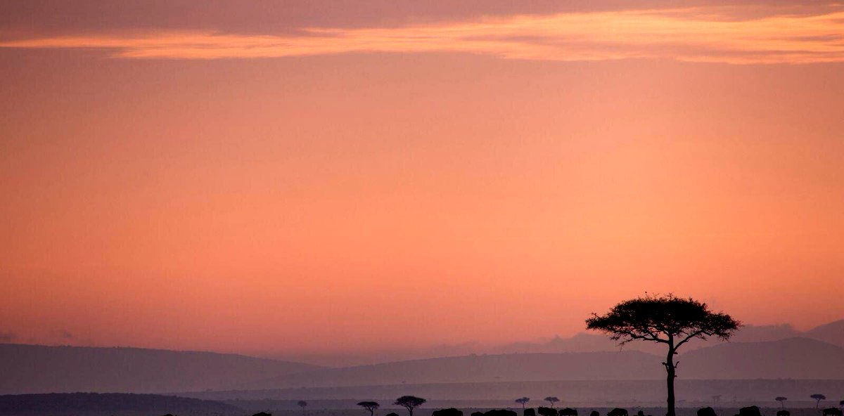 KSh 520M Maasai Mara Riverfront Safari Camp