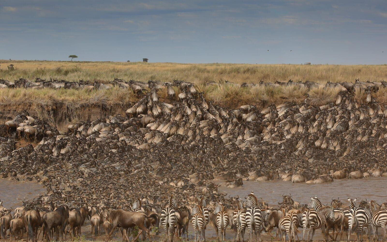 KSh 520M Maasai Mara Riverfront Safari Camp