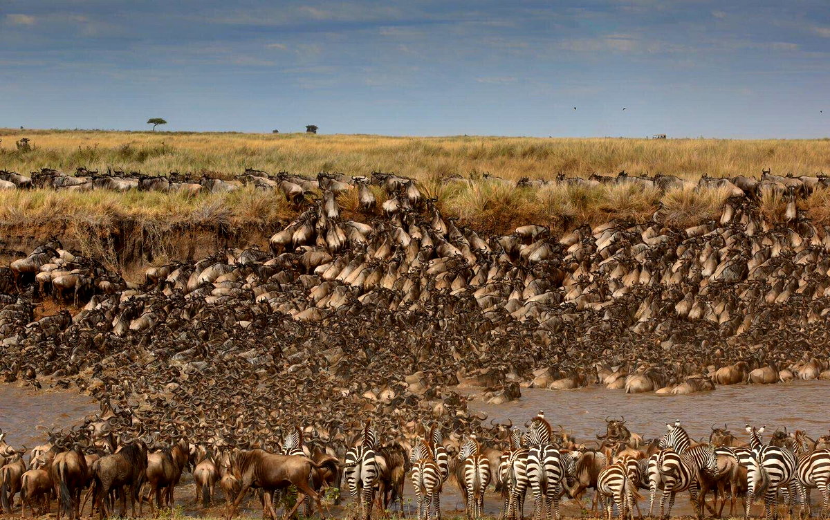 KSh 520M Maasai Mara Riverfront Safari Camp