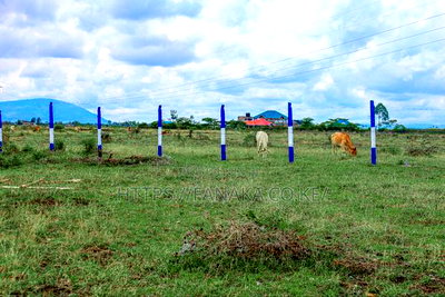 Gated Community Plots in Ruiru East - Image 3