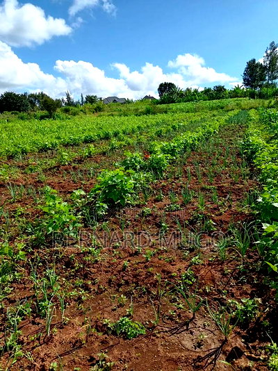 Plot for Sale in Murera Coffee Estate - Image 1