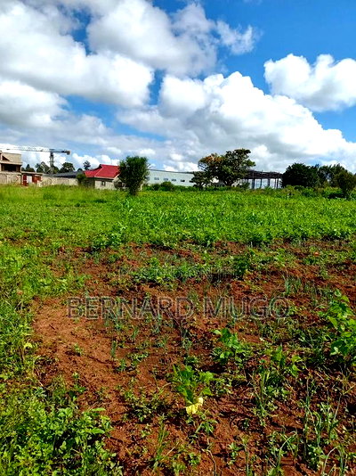 Plot for Sale in Murera Coffee Estate - Image 3