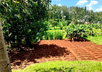 0.57 Acre Plot in Karen at KSh 30M