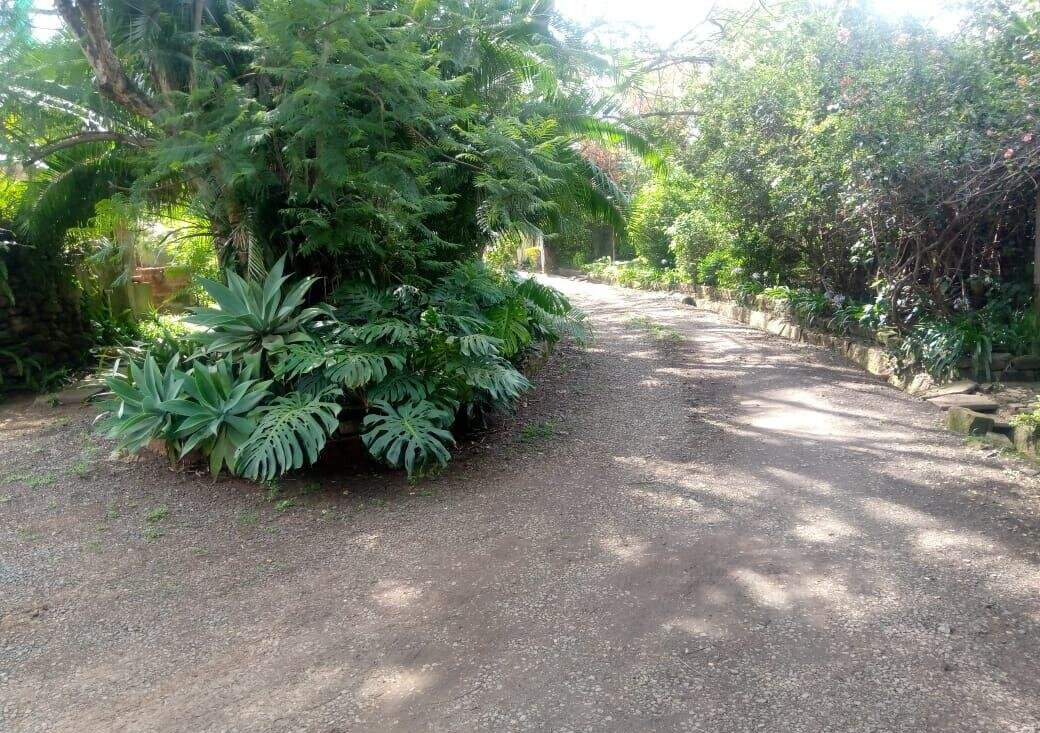 87-Acre Lavington Gem for KSh 180M