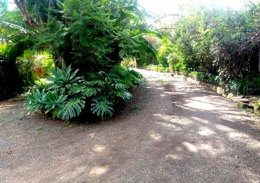 87-Acre Lavington Gem for KSh 180M