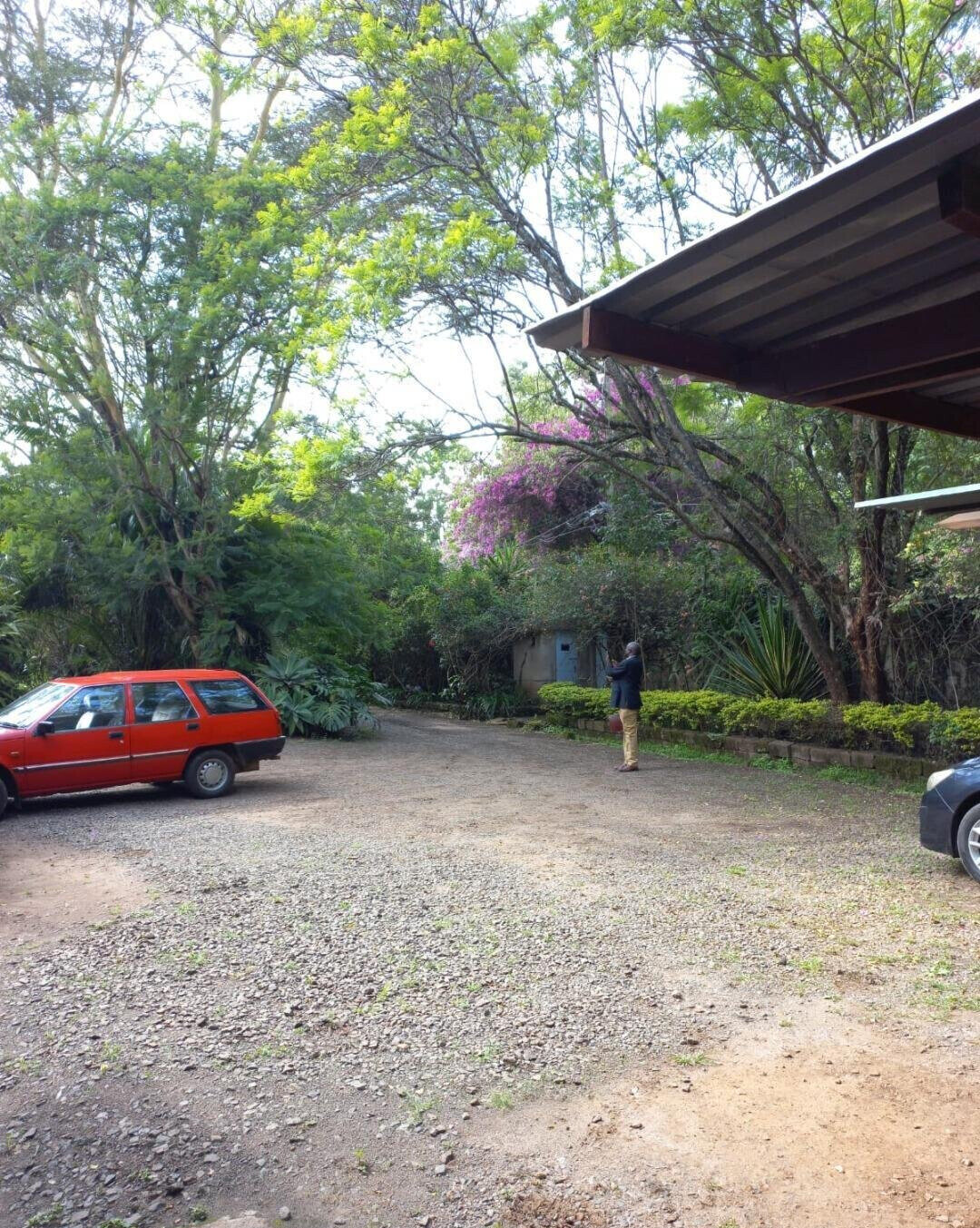 87-Acre Lavington Gem for KSh 180M