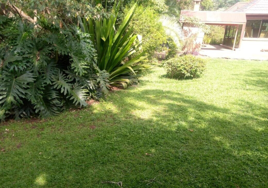 87-Acre Lavington Gem for KSh 180M