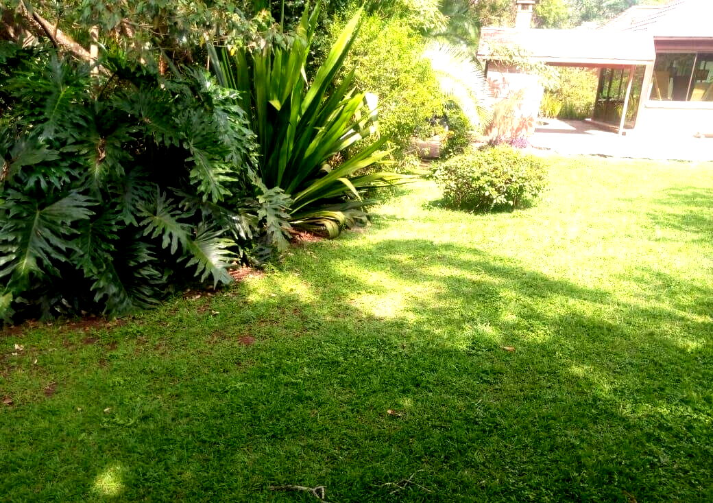 87-Acre Lavington Gem for KSh 180M