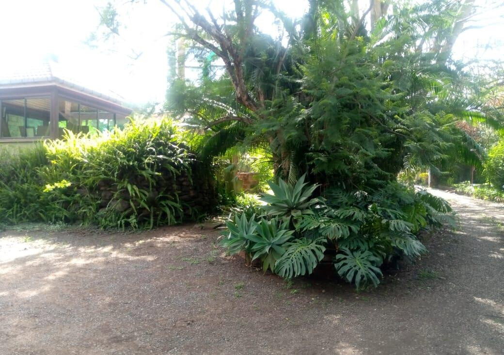 87-Acre Lavington Gem for KSh 180M