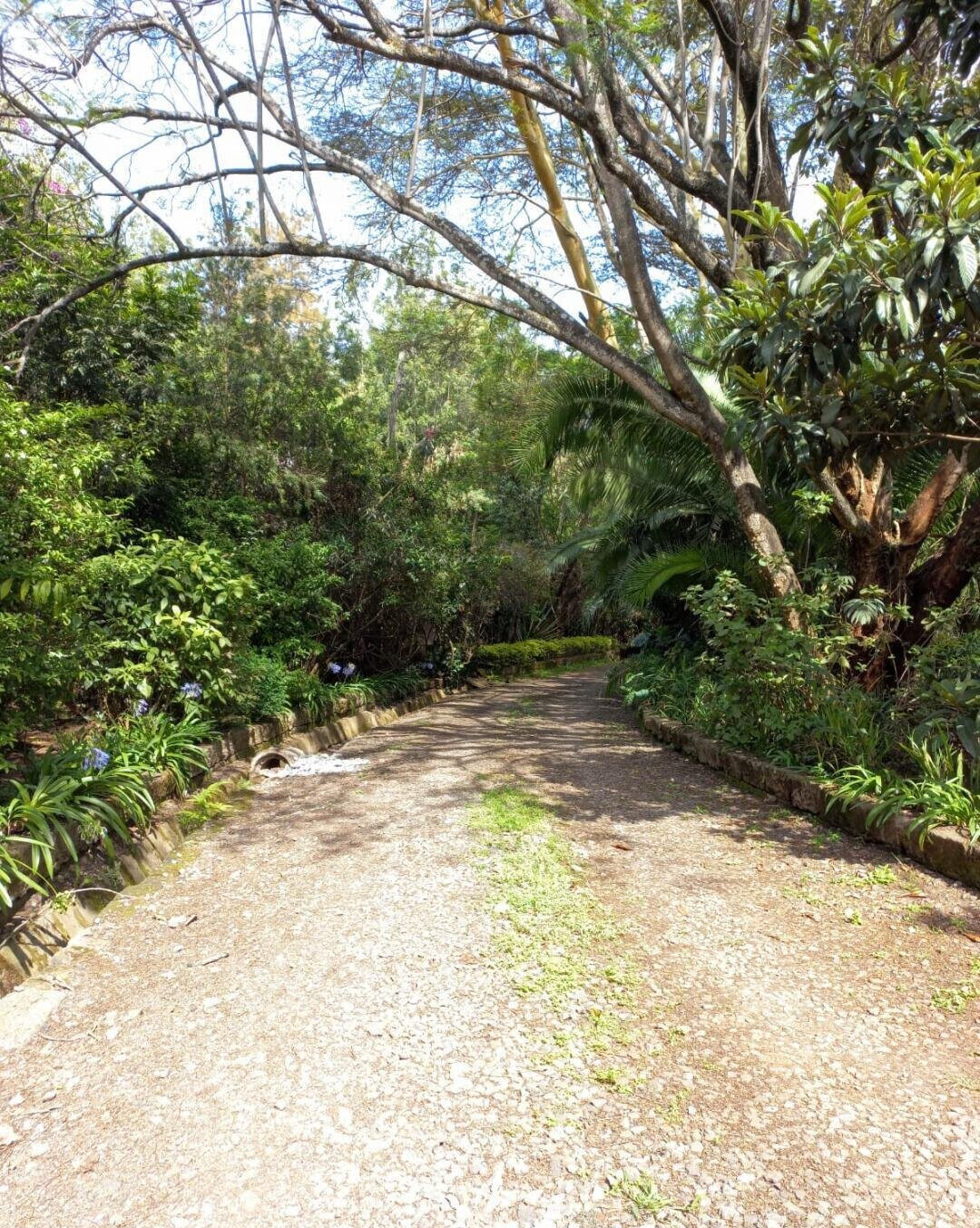 87-Acre Lavington Gem for KSh 180M