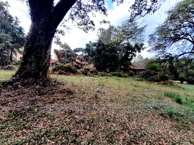 Prime 1.4 Acres Plot In Kileleshwa - Image 3