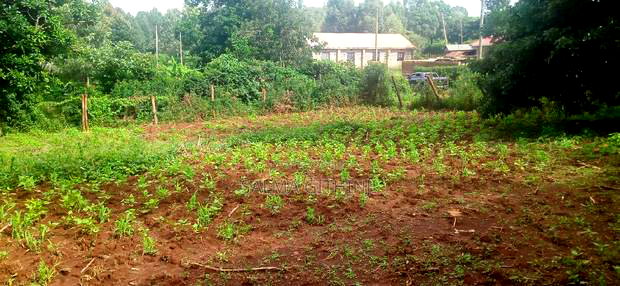 50 by 100 Residential Plot for Sale in Kikuyu, Gikambura