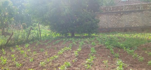 50 by 100 Residential Plot for Sale in Kikuyu, Gikambura