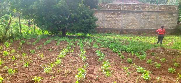 50 by 100 Residential Plot for Sale in Kikuyu, Gikambura