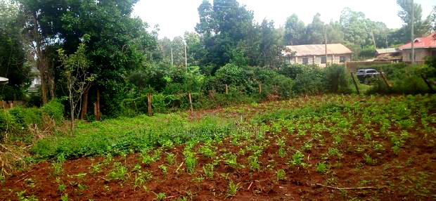 50 by 100 Residential Plot for Sale in Kikuyu, Gikambura