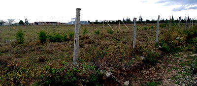 Land for Sale Endana Nanyuki - Image 3