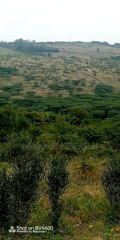 2acres for Sale in Kiserian Farmers - Image 4