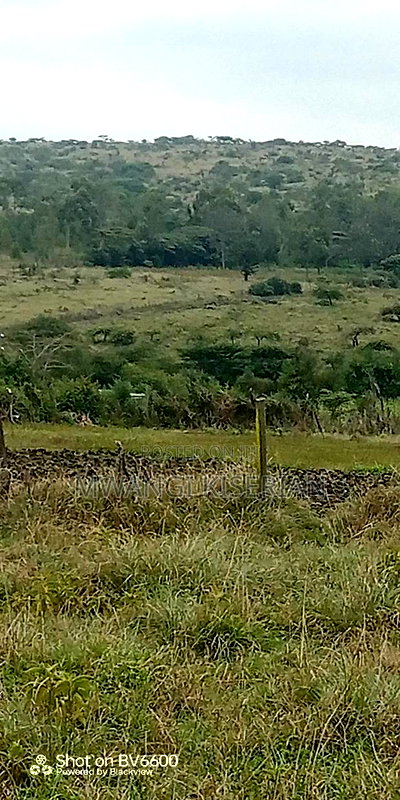 2acres for Sale in Kiserian Farmers - Image 5