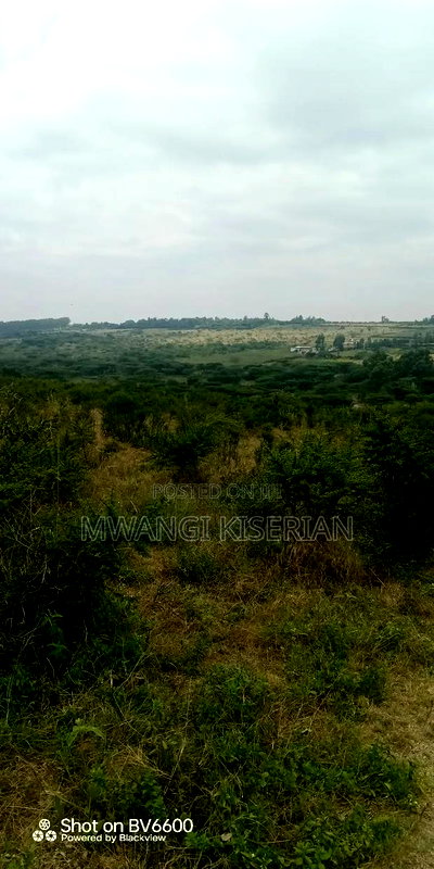 2acres for Sale in Kiserian Farmers - Image 7