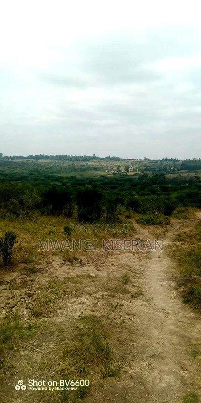 2acres for Sale in Kiserian Farmers - Image 10
