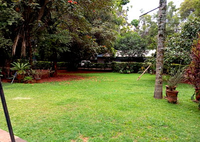 0.16 Acre Lavington Plot with Garden