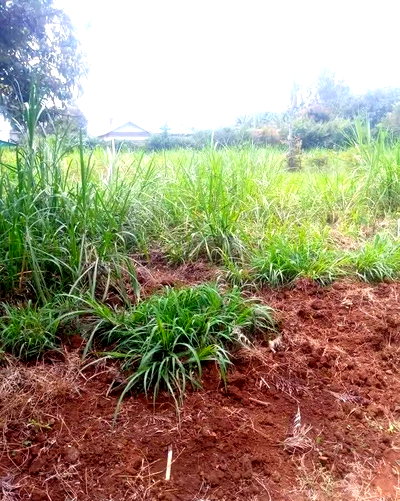 Garden Plot with Parking at KSh 18M