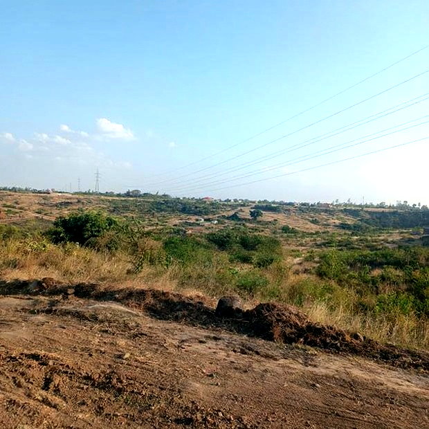 Affordable Plots on Sale in Juja Farm-Mwireri
