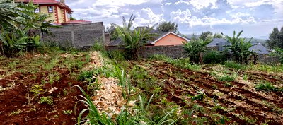 Half Acre Plot for Sale in Ngong Maragara Road. - Image 2