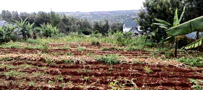 Half Acre Plot for Sale in Ngong Maragara Road. - Image 3