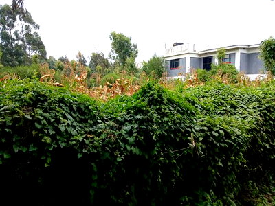 Prime Redsoil Eighth Acre Plots Off Lemiso Road, Ngong Town - Image 3