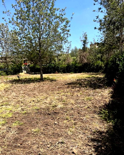 Garden Plot with Parking at KSh 6.5M